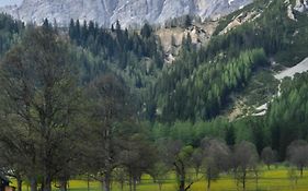 Family Appartment - Dachstein View - Casa Kaspar